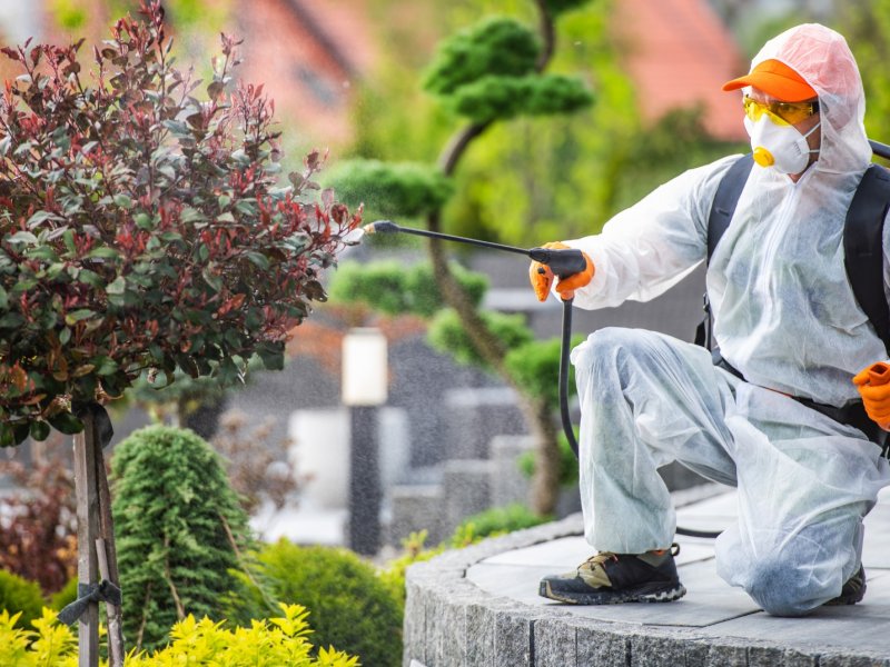 Çamlıhemşin Haşere İlaçlama