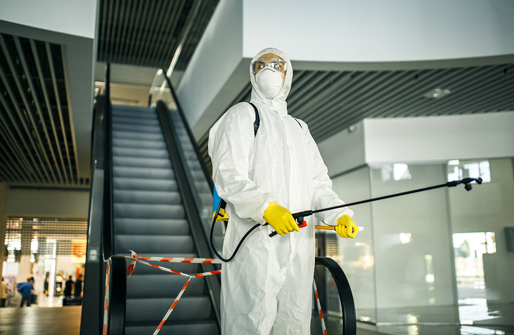 Çamlıhemşin Haşere İlaçlama